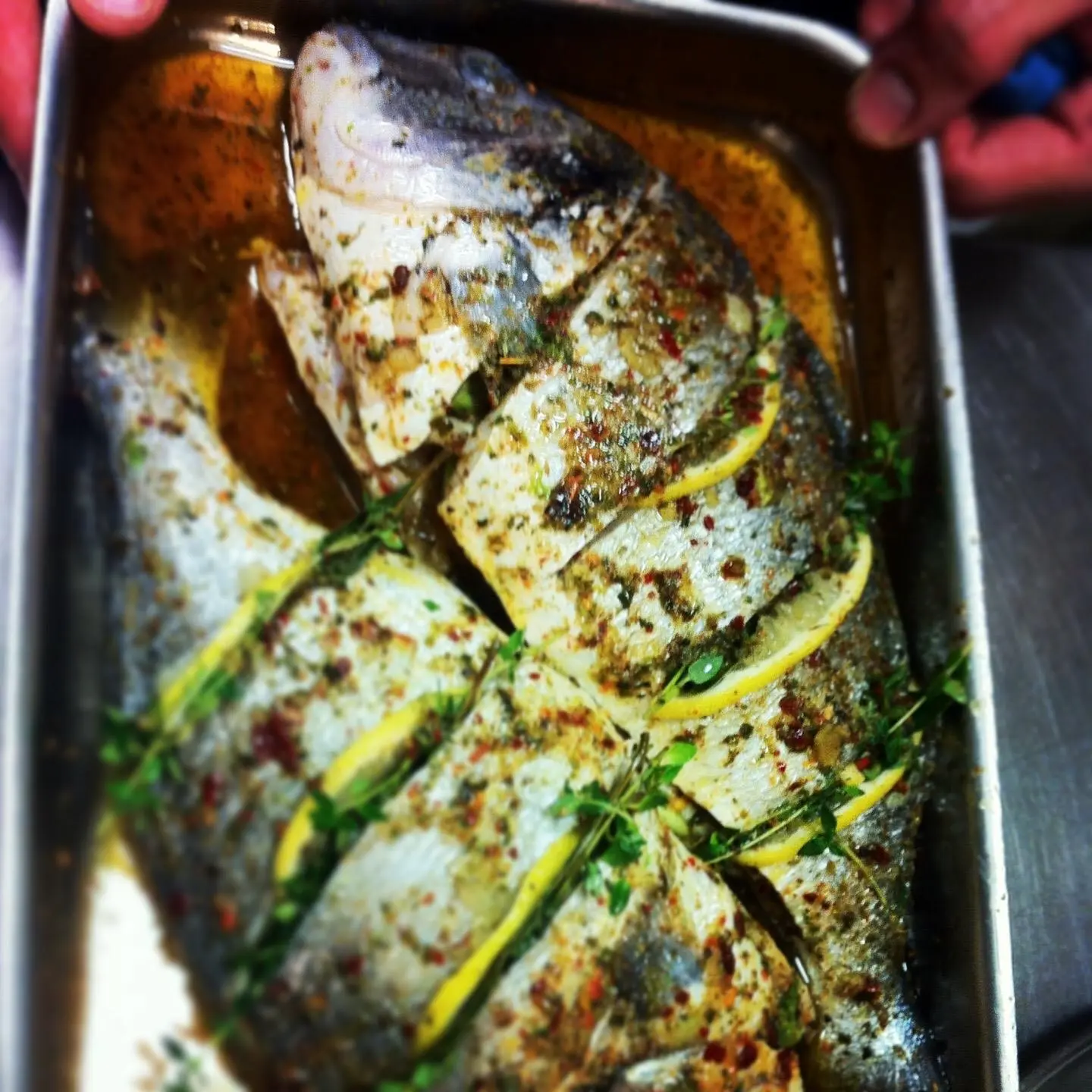 grill fish 
